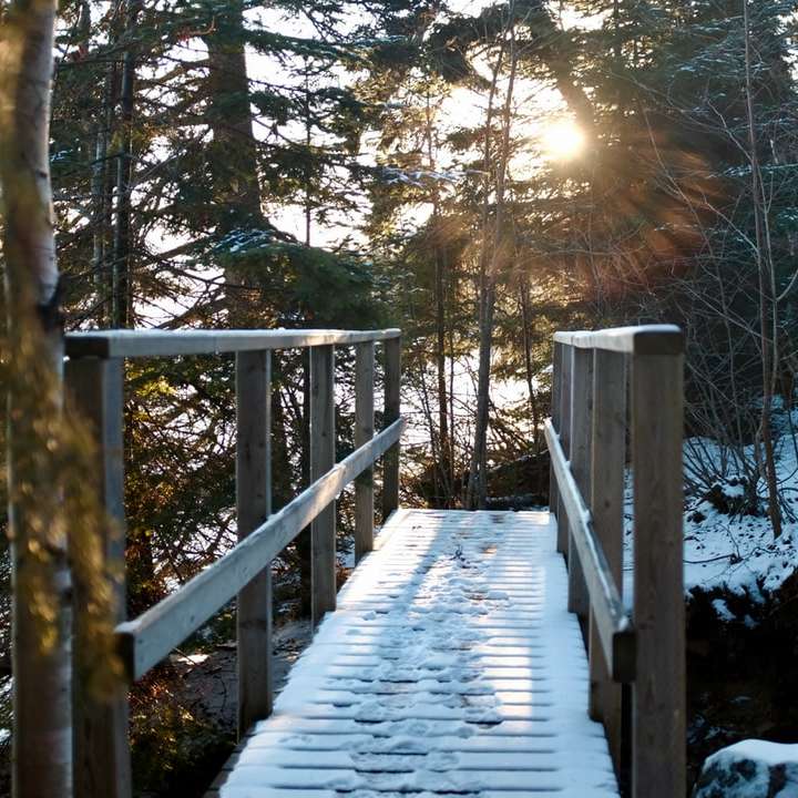 ponte de madeira marrom sobre solo coberto de neve puzzle online