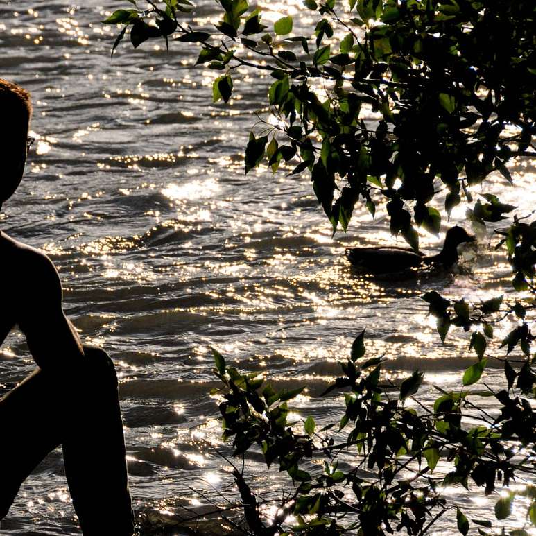 silueta de hombre de pie sobre el agua durante el día rompecabezas en línea