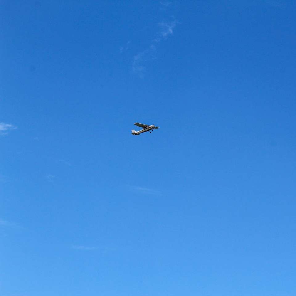 czarny ptak latający pod błękitnym niebem w ciągu dnia puzzle przesuwne online