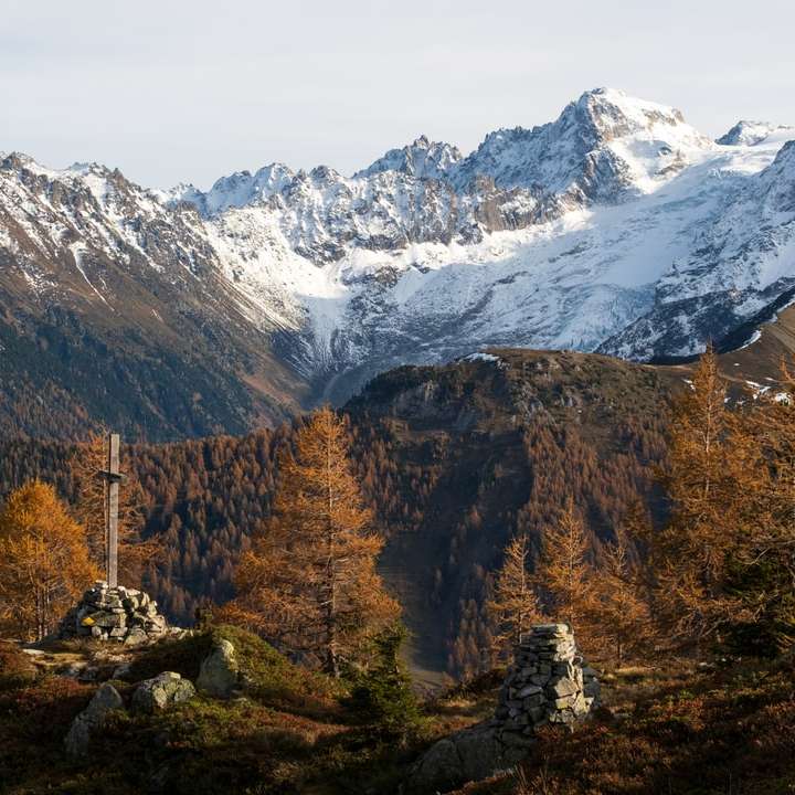 copaci bruni lângă munte acoperit de zăpadă în timpul zilei puzzle online