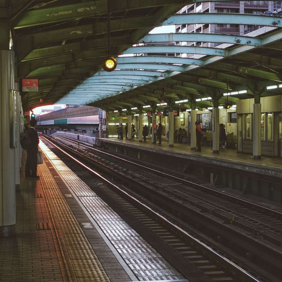 vitt och svart tåg i tågstationen Pussel online