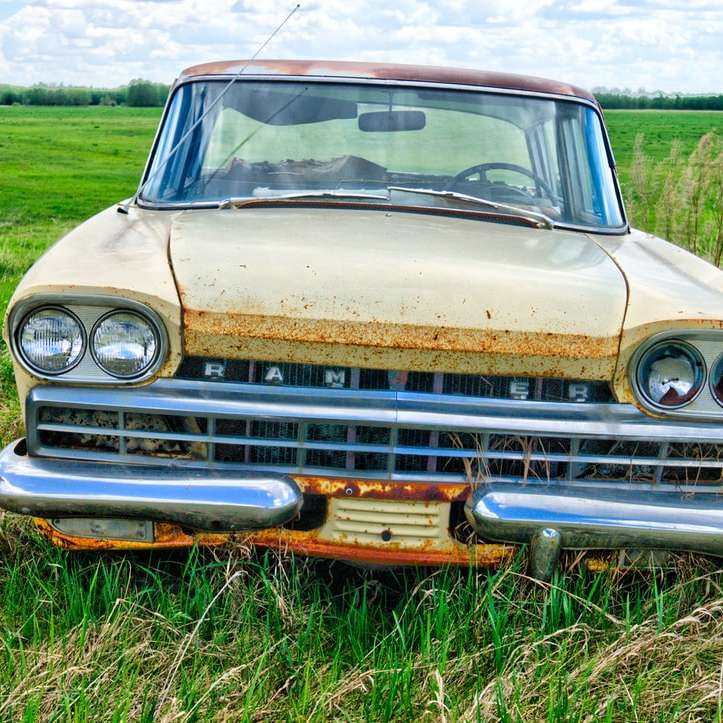 brązowy samochód na zielonym polu trawy w ciągu dnia puzzle przesuwne online