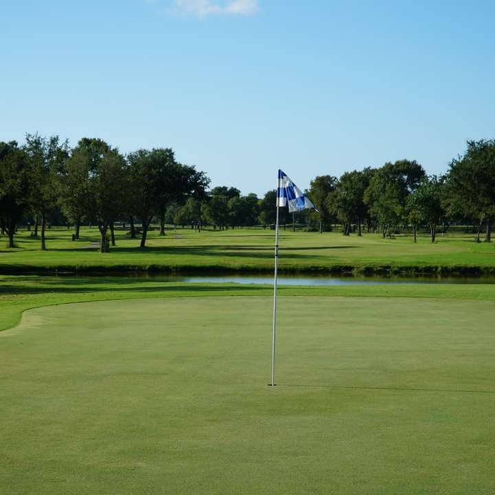 campo de golf con árboles verdes en la distancia rompecabezas en línea