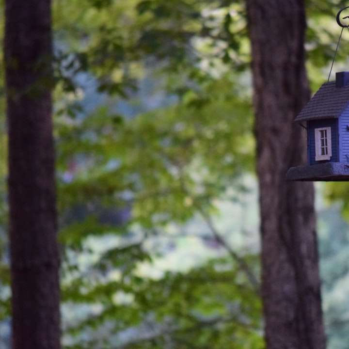 blauw en wit houten vogelhuisje op boomtak online puzzel