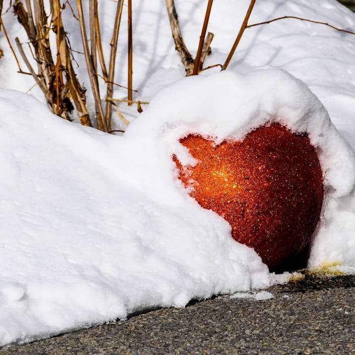 brown round fruit covered with snow online puzzle