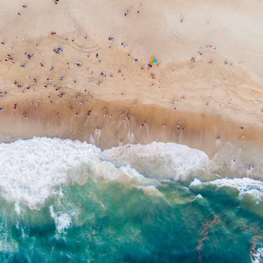 persone sulla spiaggia durante il giorno puzzle scorrevole online