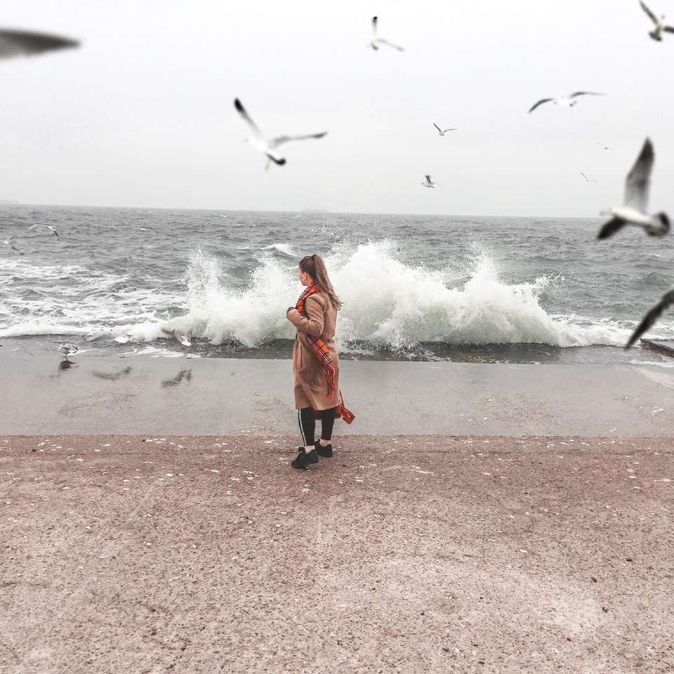 жена в червена рокля, ходеща по брега на плажа през деня плъзгащ се пъзел онлайн