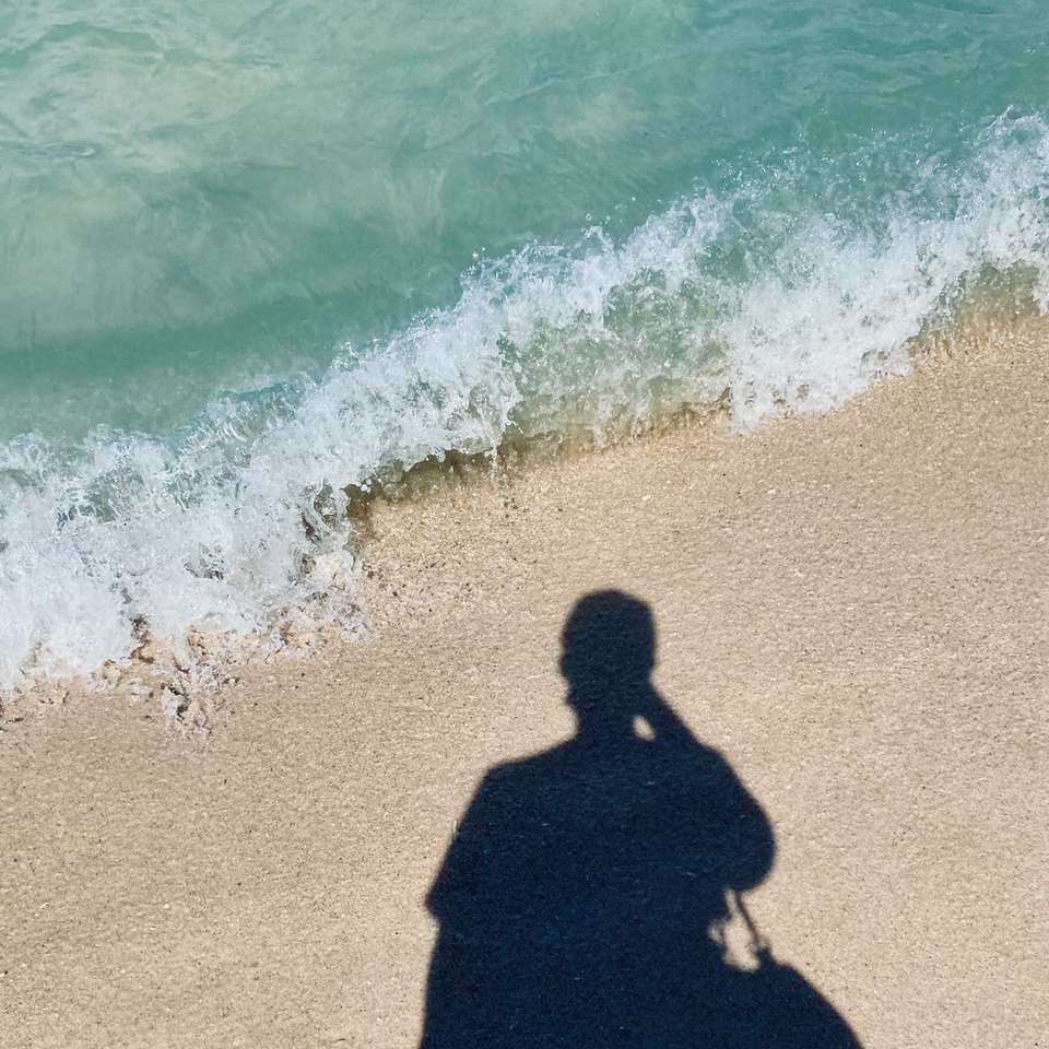 kobieta w czarnej sukni stojąc na plaży w ciągu dnia puzzle online
