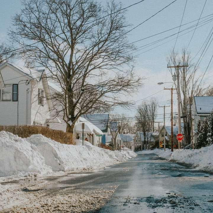 strada coperta di neve durante il giorno puzzle online