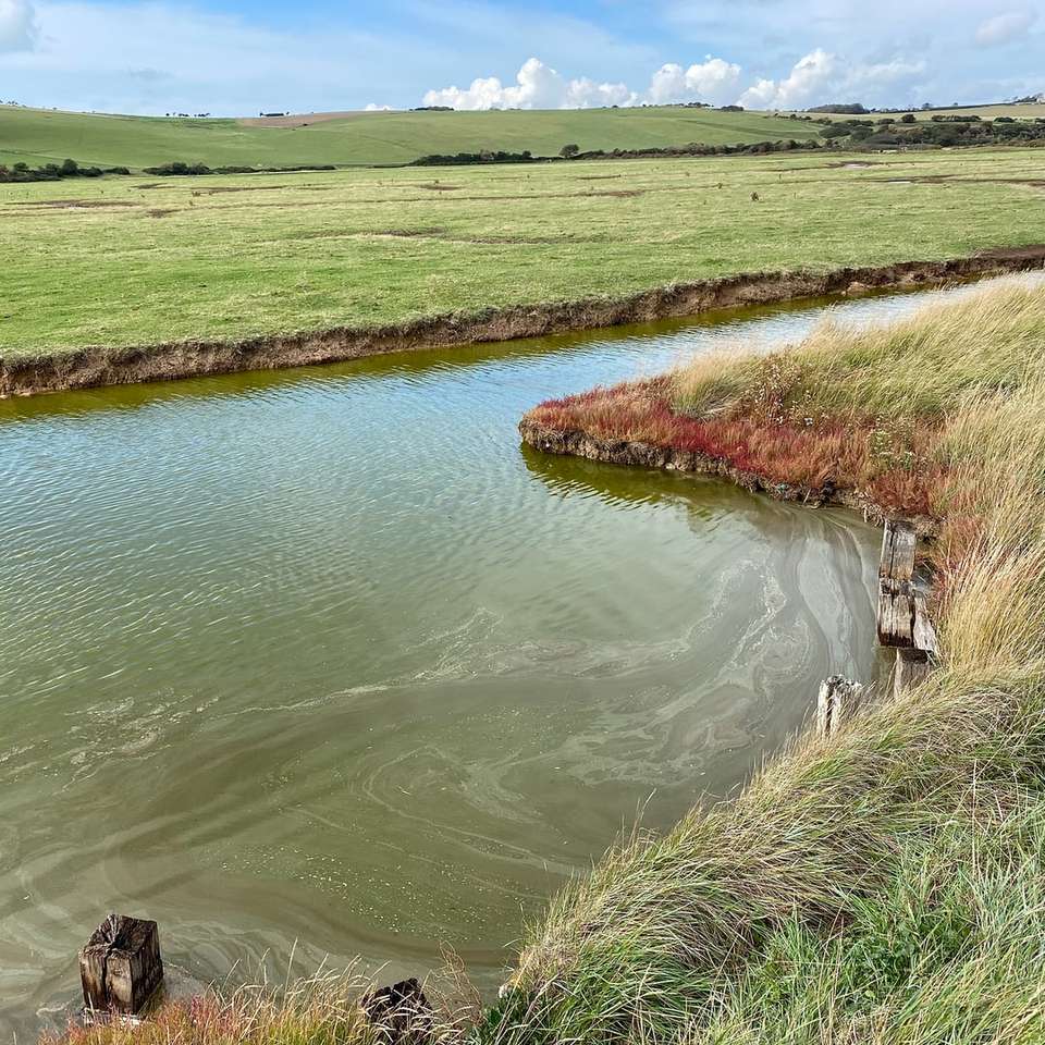зелено тревно поле край реката през деня плъзгащ се пъзел онлайн