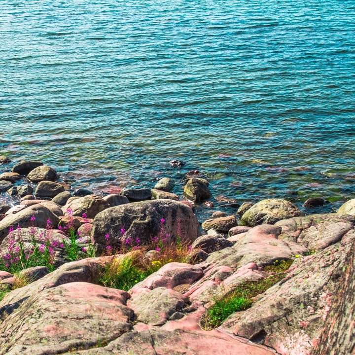 bruna stenar nära vattenkroppen under dagtid Pussel online