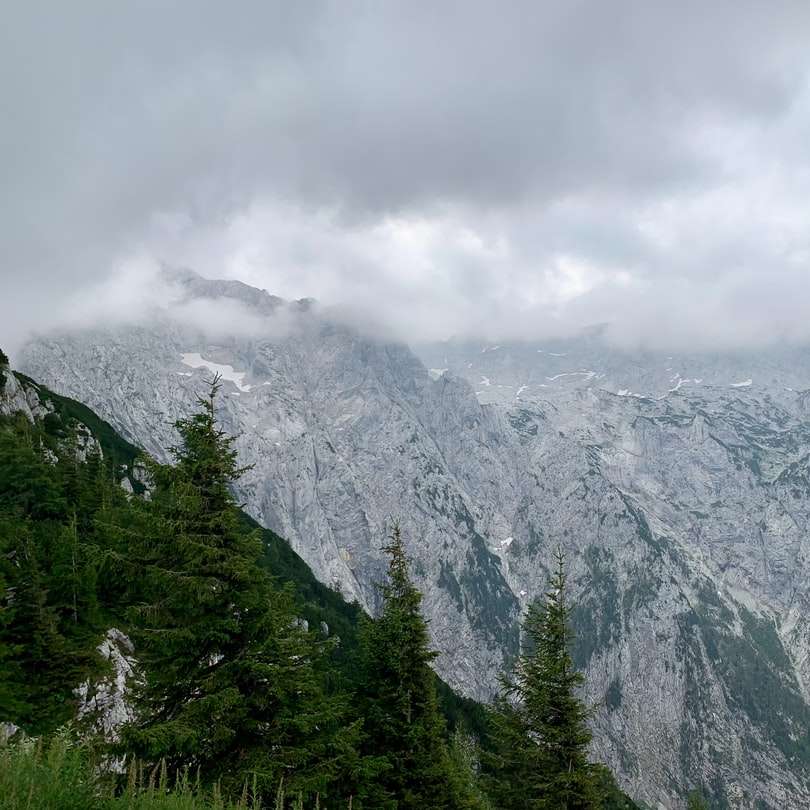 πράσινα δέντρα κοντά στο βουνό κάτω από άσπρα σύννεφα κατά τη διάρκεια της ημέρας online παζλ