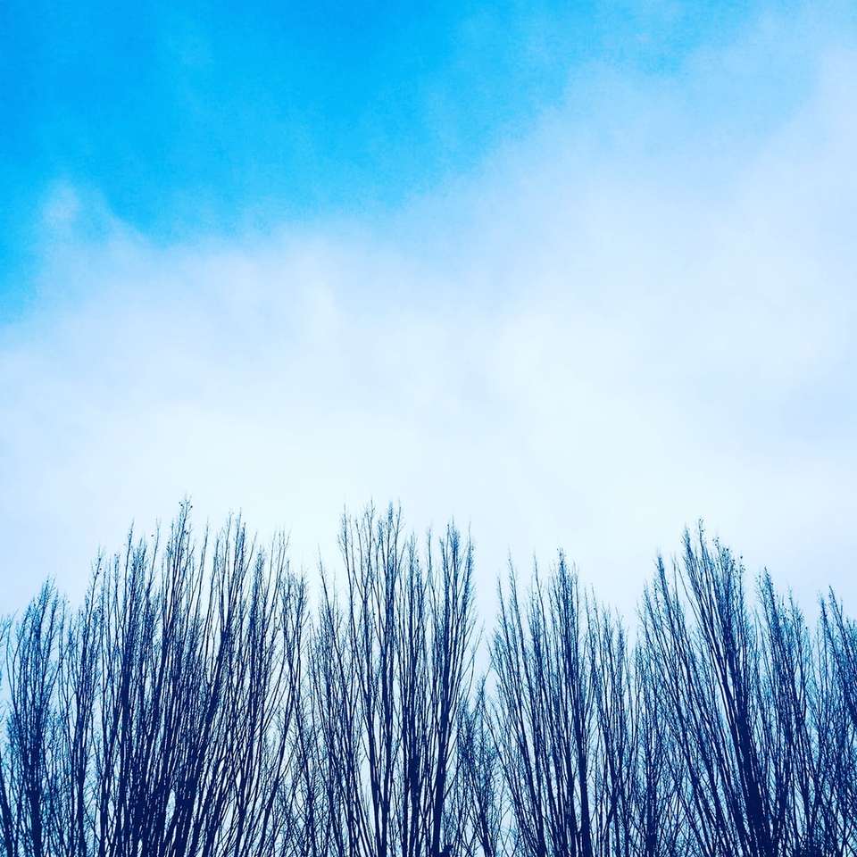 μπλε συννεφιασμένος ουρανός κατά τη διάρκεια της ημέρας συρόμενο παζλ online