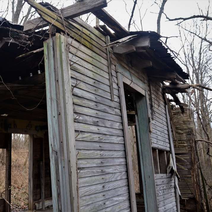 white wooden house near bare trees during daytime online puzzle