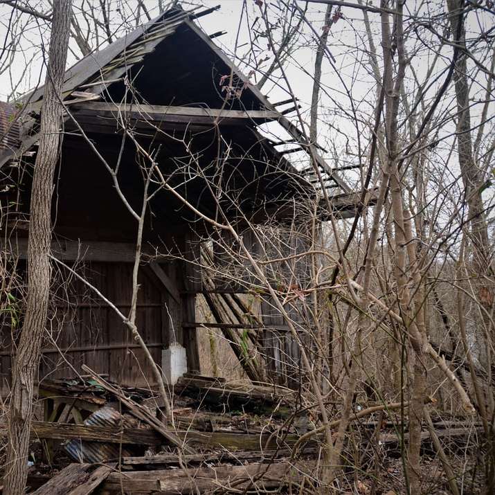 Maison en bois brun près des arbres nus pendant la journée puzzle coulissant en ligne