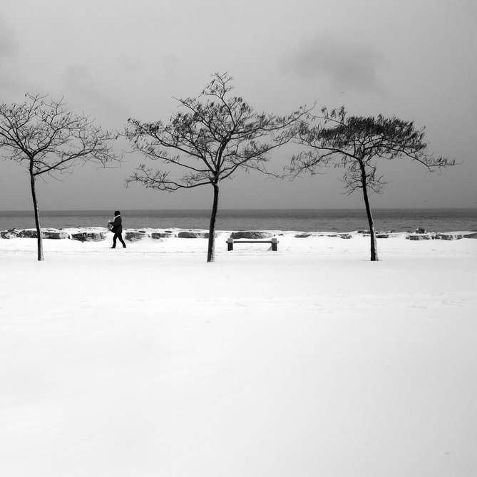 裸の木の近くの雪に覆われたフィールドを歩く2人 スライディングパズル・オンライン