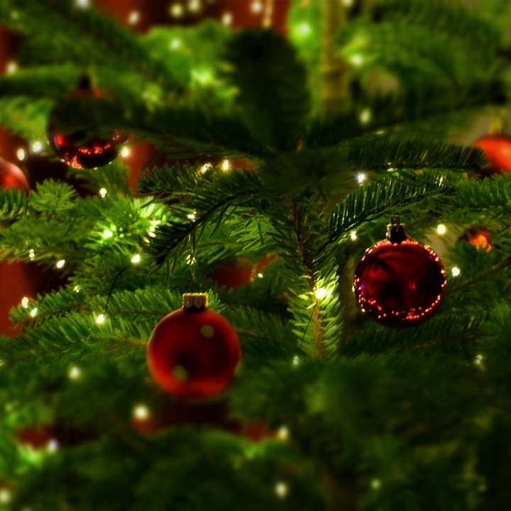 red baubles on green pine tree online puzzle