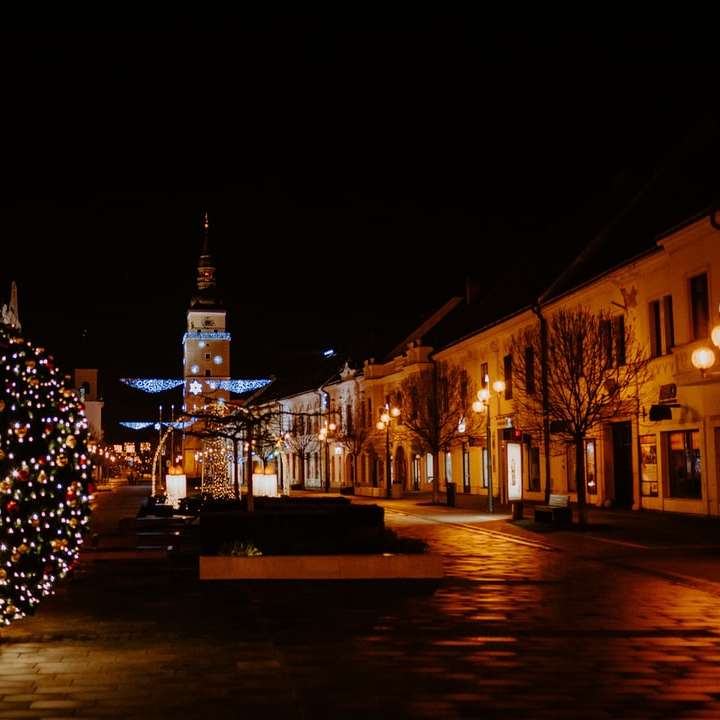 beleuchteter Weihnachtsbaum nahe Gebäude während der Nachtzeit Online-Puzzle