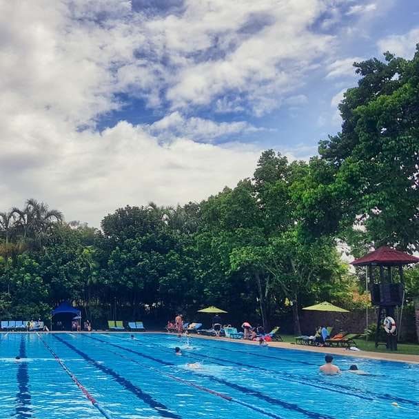 oameni înotând în piscină în timpul zilei puzzle online