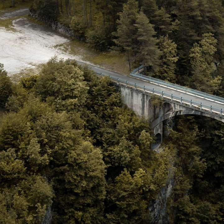 昼間の緑の木々の間の川に架かる白い橋 オンラインパズル