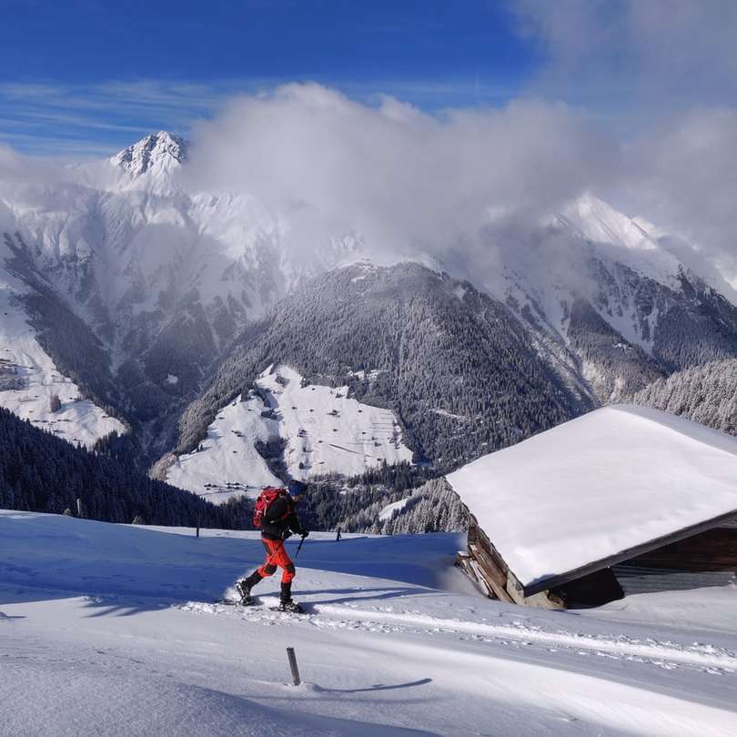 човек в червено яке и черен панталон, каращ ски остриета онлайн пъзел