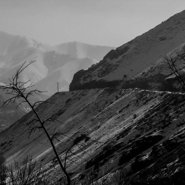 Graustufenfoto von Bergen und Bäumen Schiebepuzzle online