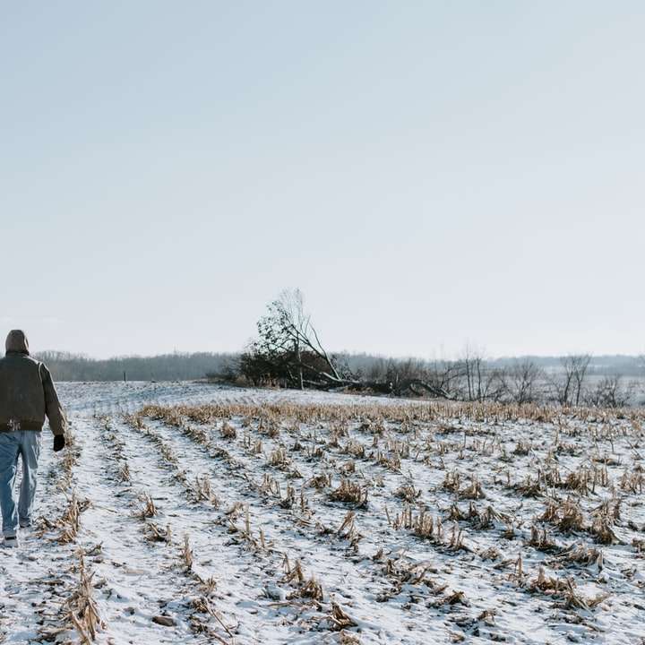 мъж и жена, ходещи по заснеженото поле през деня онлайн пъзел