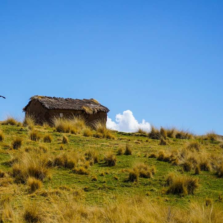 brązowy drewniany dom na zielonym polu trawy pod błękitnym niebem puzzle przesuwne online
