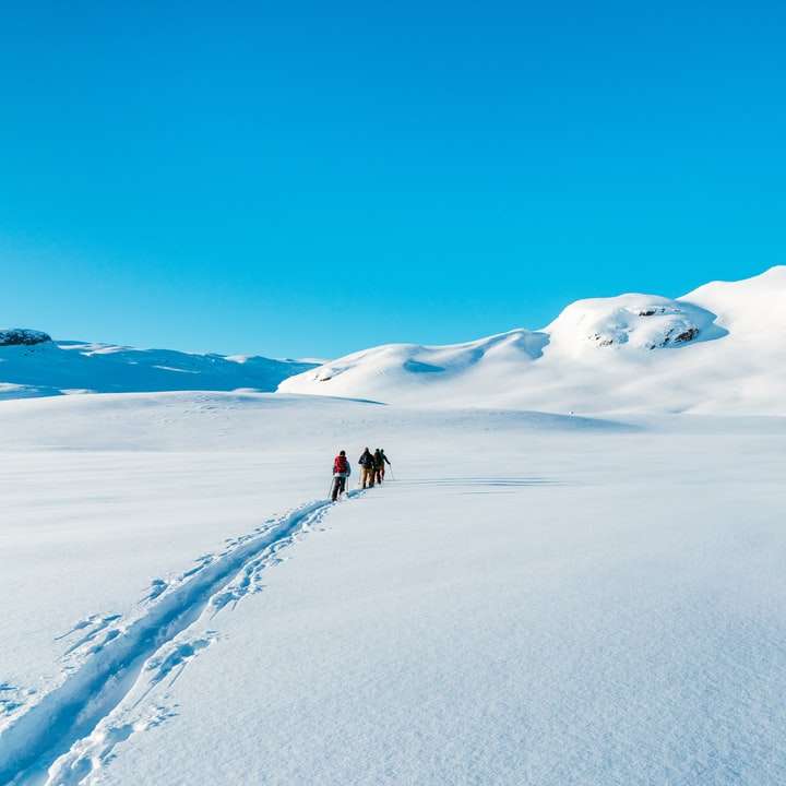 άτομα που περπατούν σε χιονισμένο πεδίο κατά τη διάρκεια της ημέρας συρόμενο παζλ online
