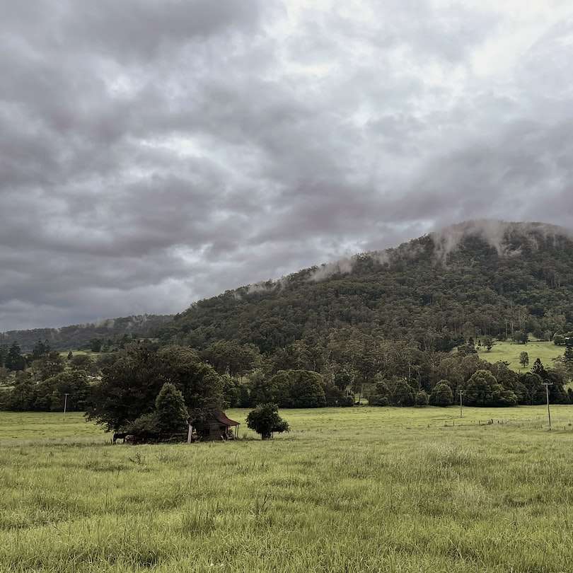πράσινο γρασίδι πεδίο κοντά σε πράσινο βουνό κάτω από άσπρα σύννεφα online παζλ