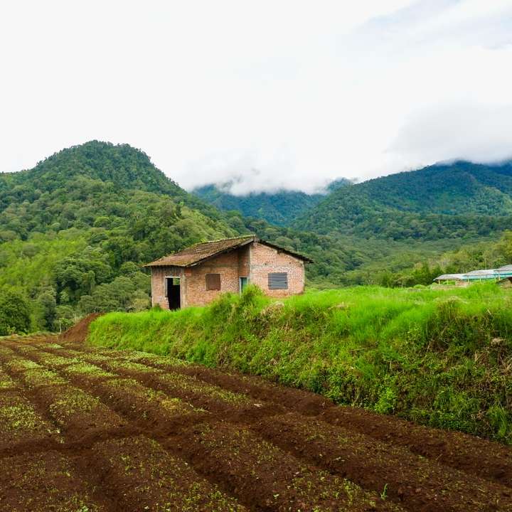 casa marrone sul campo di erba verde vicino alla montagna puzzle scorrevole online