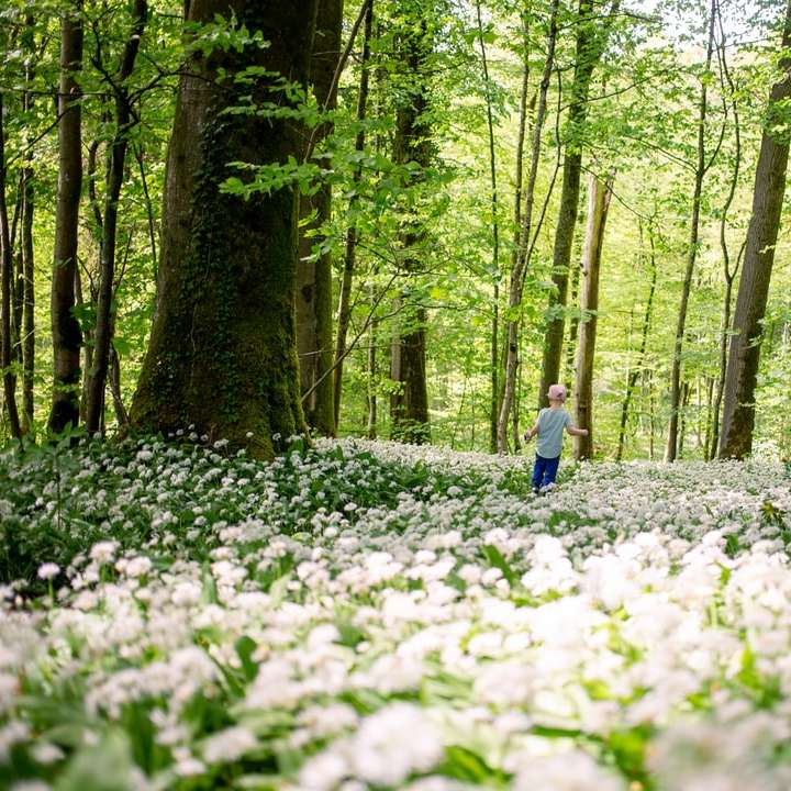 donna in camicia a maniche lunghe blu che cammina sulla foresta puzzle scorrevole online