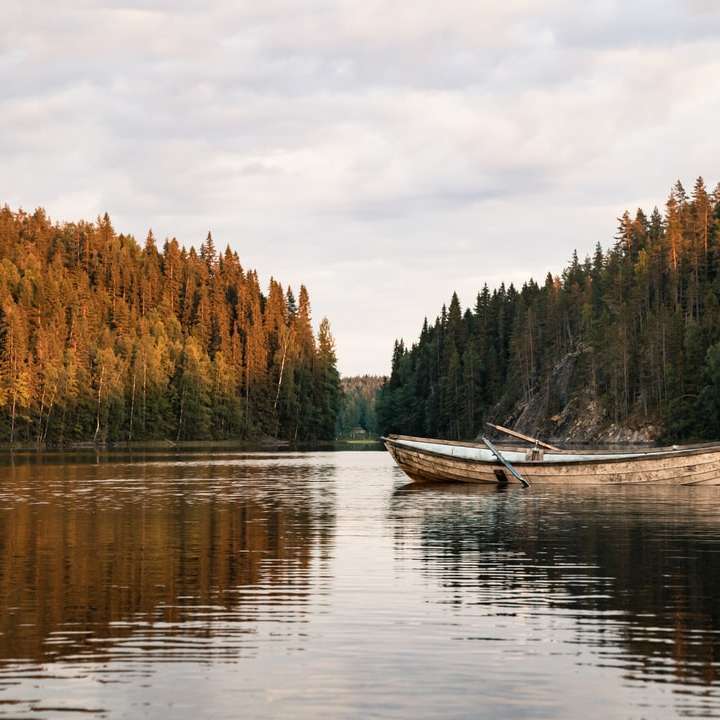white boat on lake near green and brown trees sliding puzzle online