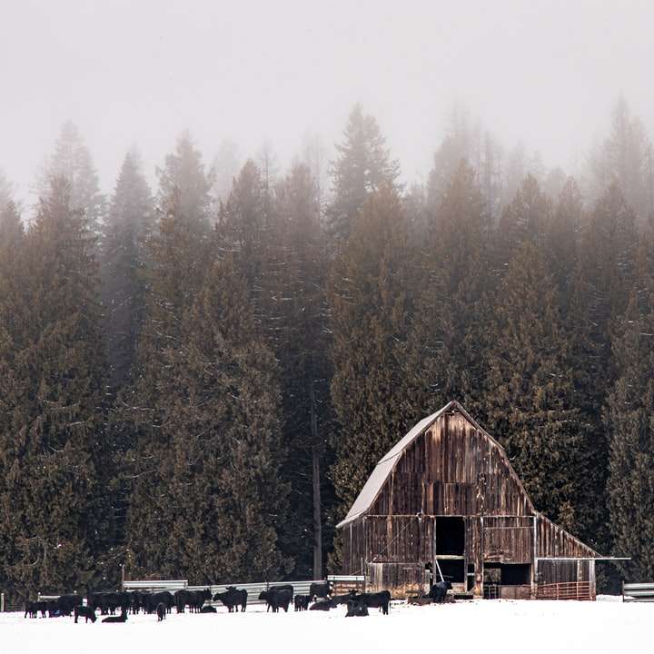 καφέ ξύλινο σπίτι σε χιονισμένο έδαφος κοντά σε δέντρα συρόμενο παζλ online