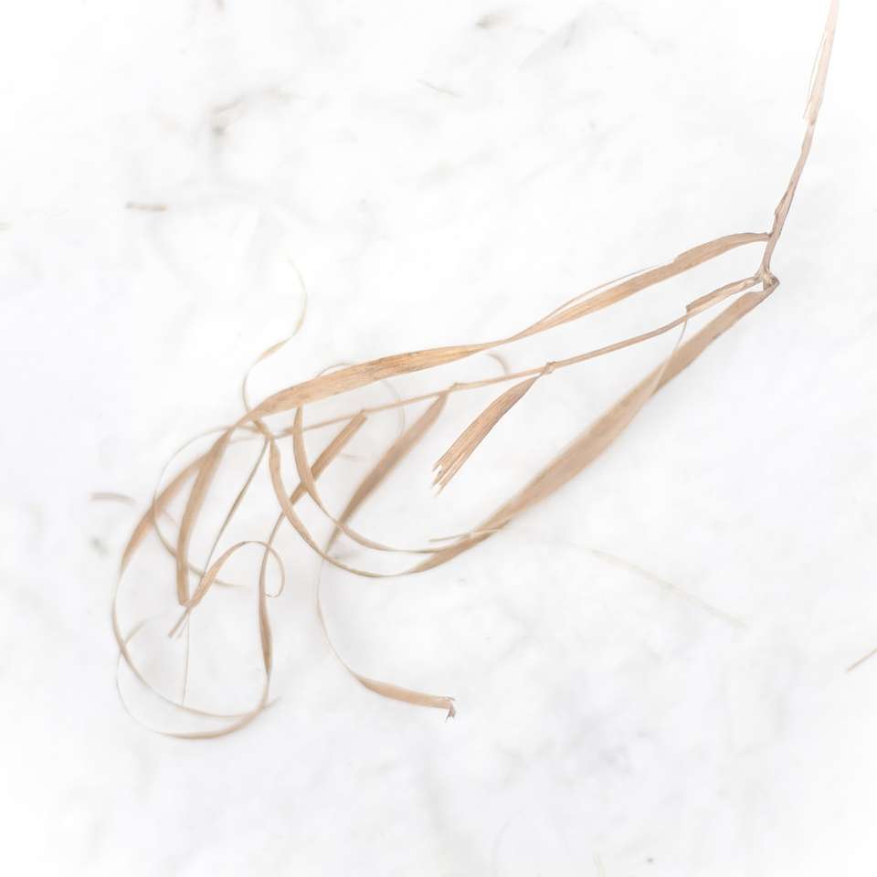 brunt rep på vit snö glidande pussel online