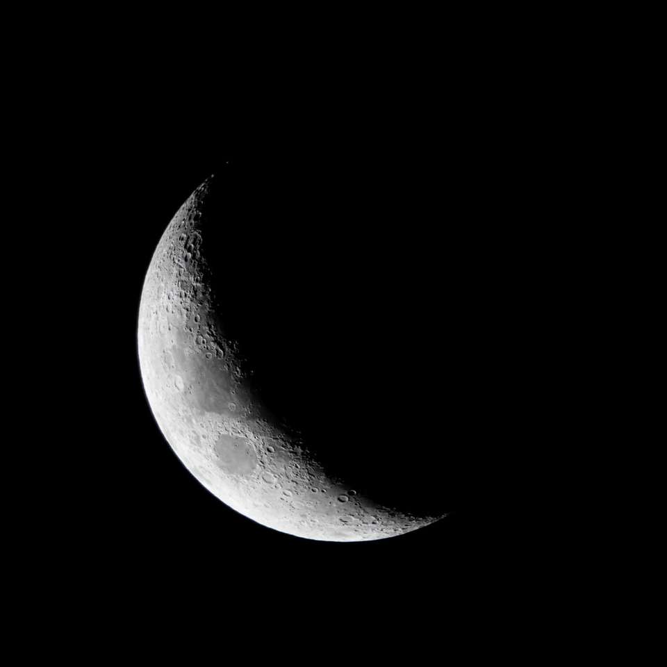 foto in scala di grigi della luna piena puzzle online