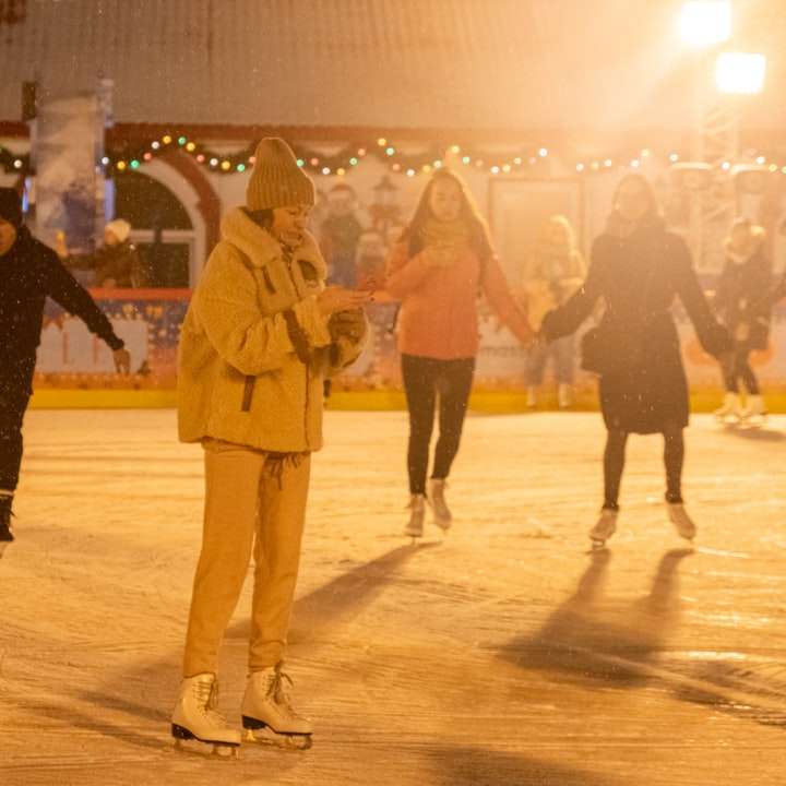 людина в коричневому пальті, стоячи на льодовому полі розсувний пазл онлайн