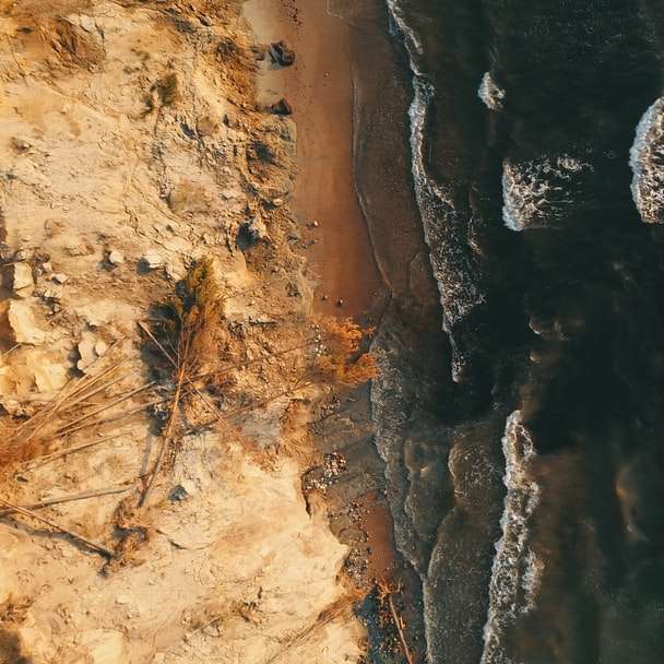 昼間の茶色の岩の多い海岸 スライディングパズル・オンライン