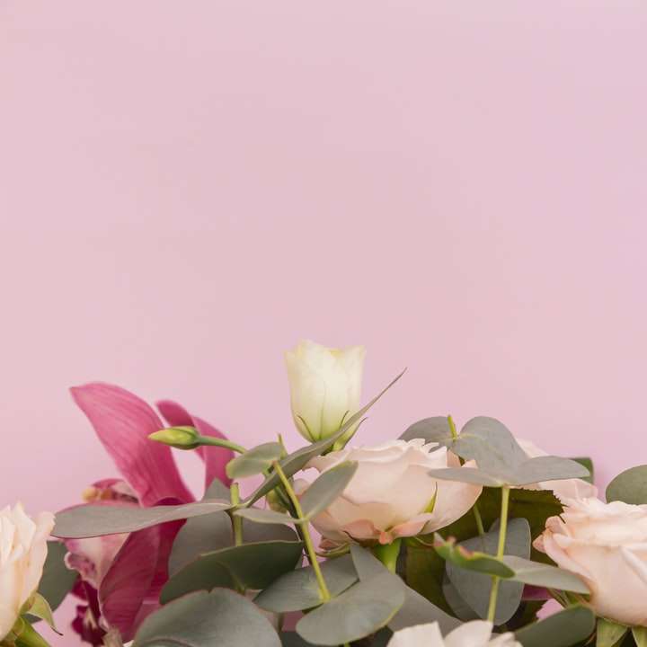 vita och rosa rosblommor glidande pussel online
