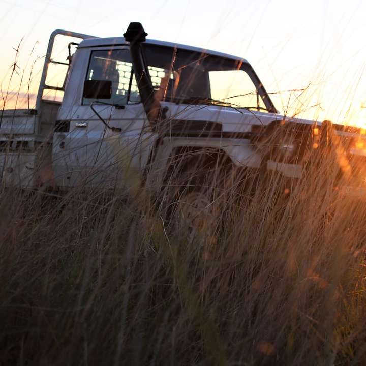 camionetă albă cu o singură cabină pe câmpul de iarbă maro alunecare puzzle online