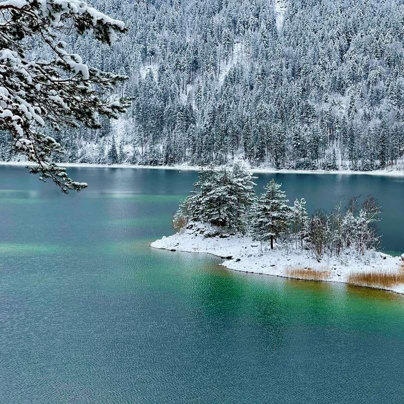 λίμνη που περιβάλλεται από δέντρα καλυμμένα με χιόνι συρόμενο παζλ online