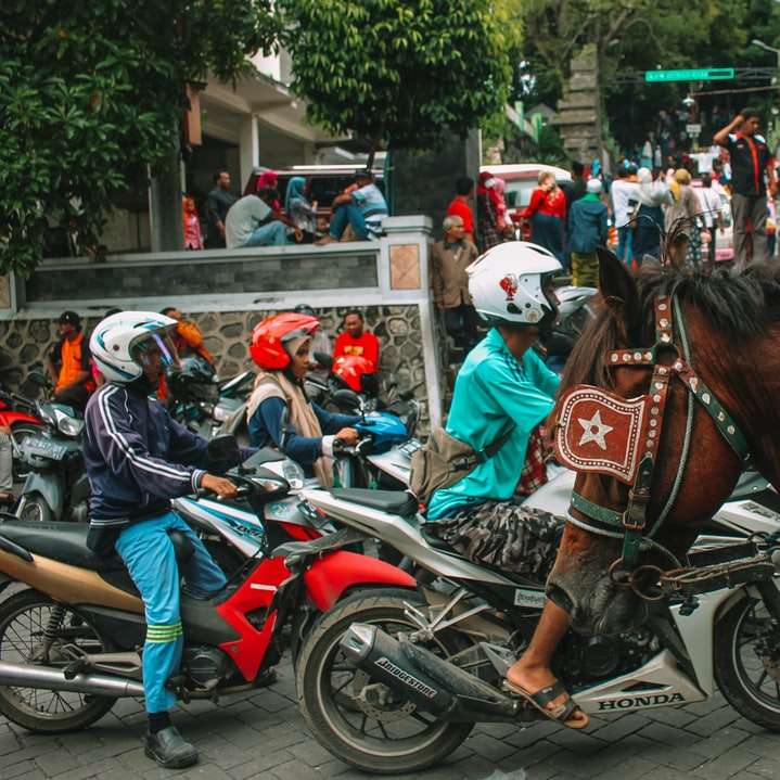 хора, яздещи коне на улицата през деня онлайн пъзел