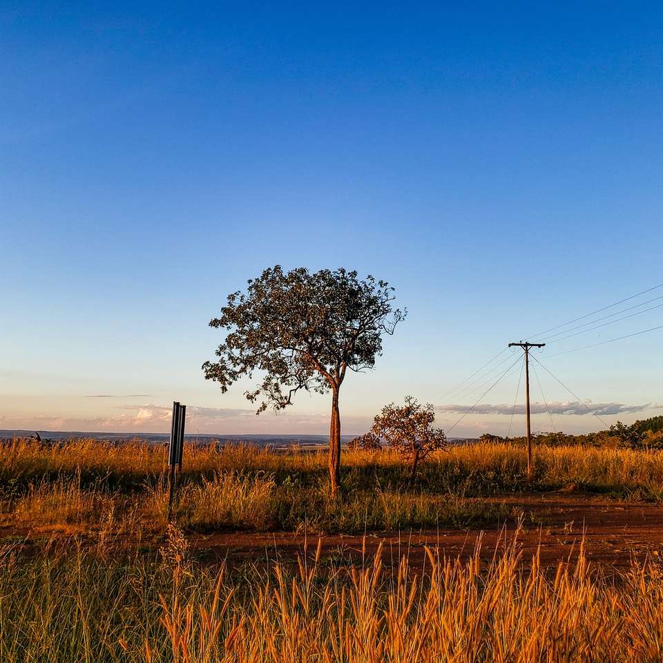 campo di erba marrone con turbine eoliche sotto il cielo blu puzzle online