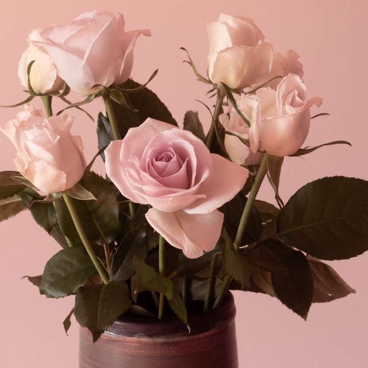 ροζ τριαντάφυλλα σε καφέ πήλινο δοχείο συρόμενο παζλ online