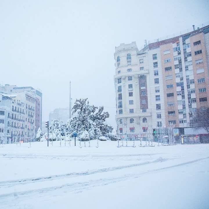 białe pole pokryte śniegiem w pobliżu białego betonowego budynku puzzle przesuwne online