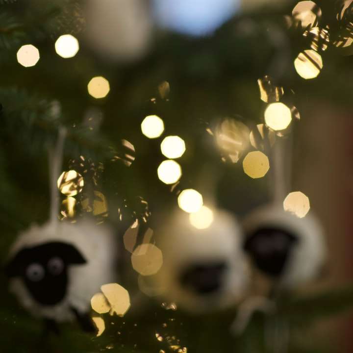 černá a bílá panda na větvi stromu online puzzle