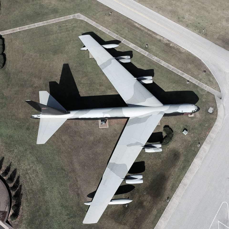 avion cu jet alb și negru pe câmpul de iarbă verde alunecare puzzle online