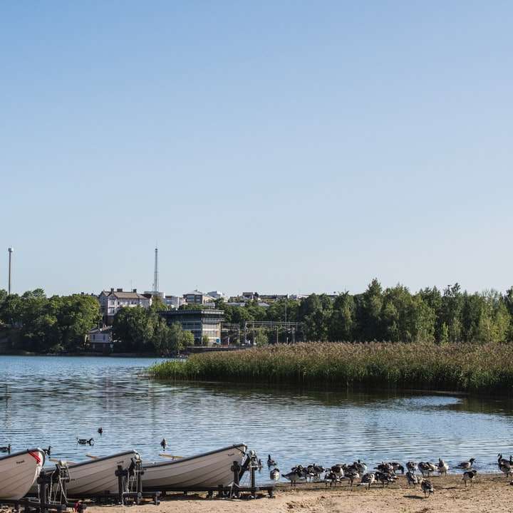 biała łódź na rzece w pobliżu zielonych drzew w ciągu dnia puzzle online