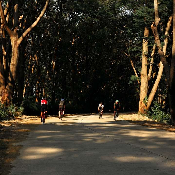 fákkal körülvett szürke betonúton járó emberek online puzzle
