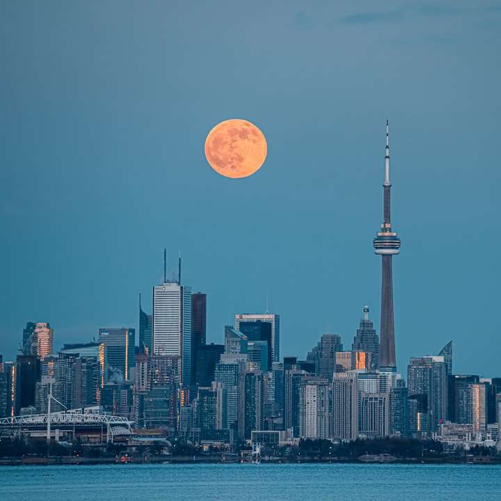 skyline van de stad onder volle maan online puzzel